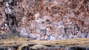 Задник до фильму"" #390748