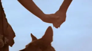 Задник до фильму"Пагорби мають очі" #721887