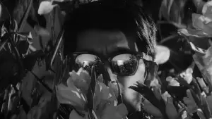 Задник до фильму"Рай і пекло" #685286