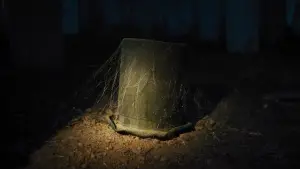 Задник до фильму"Маєток з привидами" #685750