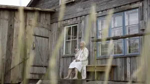 Задник до фильму"Літня книга" #597434