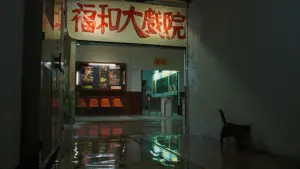 Задник до фильму"" #418922