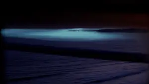 Задник до фильму"Туман" #711335