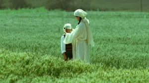 Задник до фильму"" #538867