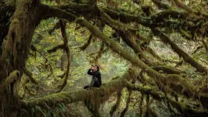 Задник до фильму"" #534612