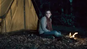 Задник до фильму"Гаррі Поттер та смертельні реліквії: Частина 1" #558262