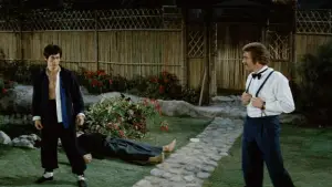 Задник до фильму"Шалений кулак" #688276