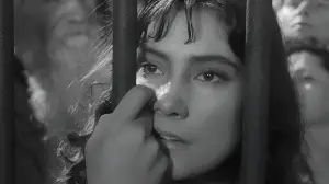 Задник до фильму"Летять журавлі" #720495