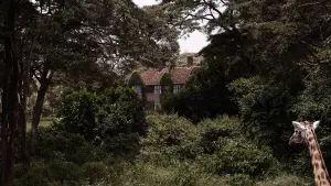 Відео до фільму sr | sr &ndash; trailer | IFFR 2024