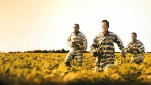 Задник до фильму"О, де ж ти, брате?" #810287