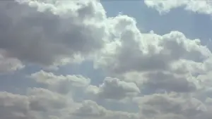 Задник до фильму"Проста історія" #529147