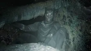 Задник до фильму"Чорна пантера" #563079