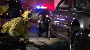 Задник до фильму"Стерв