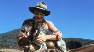 Задник до фильму"" #678432