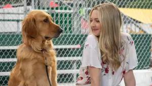 Задник до фильму"Очима собаки" #716546