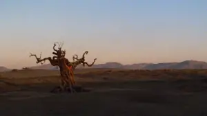 Задник до фильму"Конан-варвар" #624552