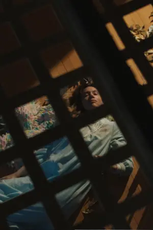 Постер до фильму"The Beldham" #513271