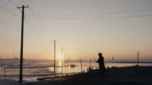 Задник до фильму"Шин Камен Райдер" #899773