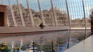 Задник до фильму"Я — легенда" #430677