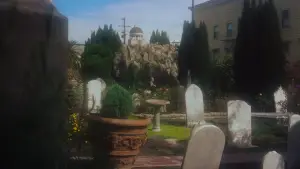 Задник до фильму"Запаморочення" #635907