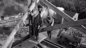 Задник до фильму"Скарби Сьєрра-Мадре" #751652