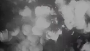 Задник до фильму"Ідеальні дні" #747062