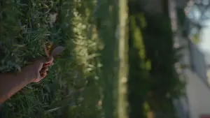 Задник до фильму"" #598730