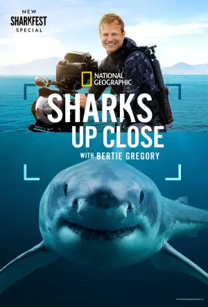 Постер до фильму"Sharks Up Close with Bertie Gregory" #793033