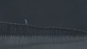 Задник до фильму"Червона черепаха" #211982