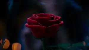 Задник до фильму"Красуня і Чудовисько" #748513