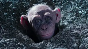 Задник до фильму"Війна за планету мавп" #585970