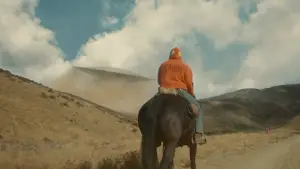 Задник до фильму"НОУ" #637381