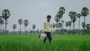 Задник до фильму"" #649147