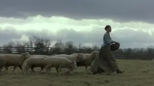 Задник до фильму"Таємничий ліс" #728852