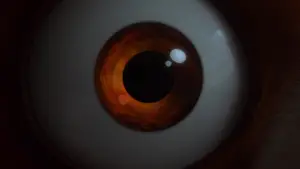 Задник до фильму"Я — панда" #581752