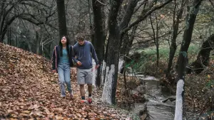 Задник до фильму"Поверни її мені" #548059