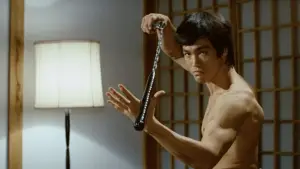 Задник до фильму"Шалений кулак" #688275