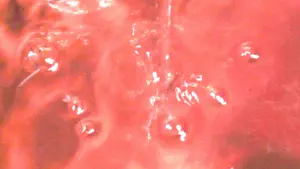 Задник до фильму"" #492137