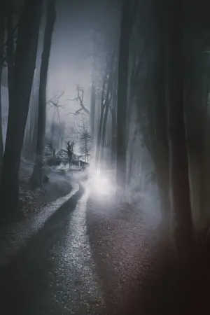 Дівчинка, що живе в кінці провулка