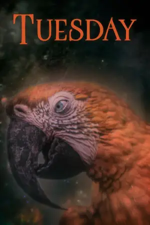 Постер до фильму"" #532823