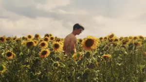 Задник до фильму"Sunflower" #820102