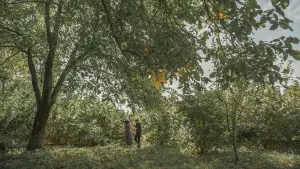 Задник до фильму"" #695226