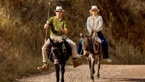 Задник до фильму"" #536624