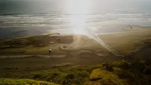 Задник до фильму"" #356181