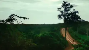 Задник до фильму"Homo Sive Natura" #927821