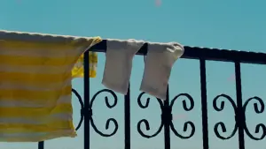 Задник до фильму"Після сонця" #201585