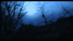 Задник до фильму"" #429516