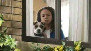 Задник до фильму"Мій шпигун" #617407