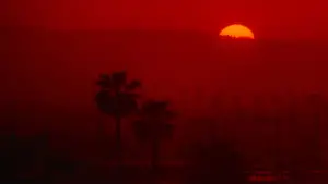 Задник до фильму"Жити й померти в Лос-Анджелесі" #674926