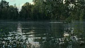 Задник до фильму"Назви мене своїм ім